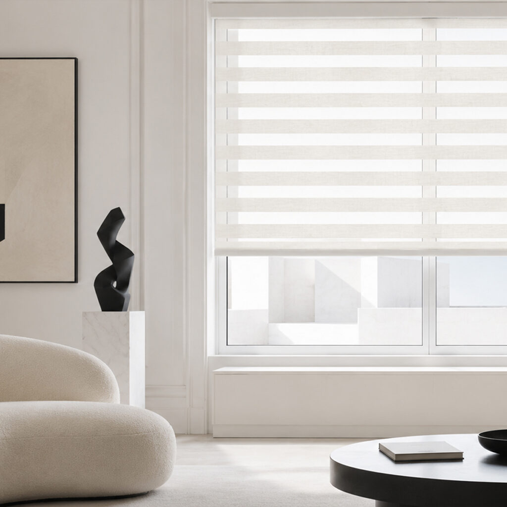 Zebra Blinds